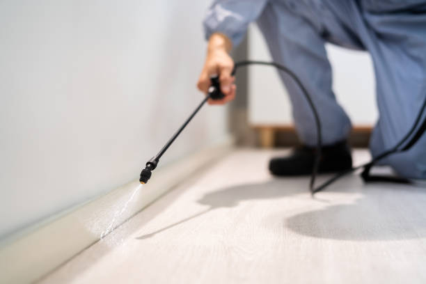 Professional exterminator conducting IPM assessment in Chrisman