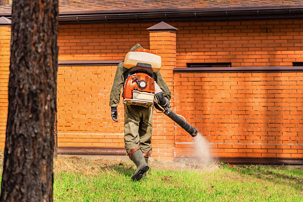 Top rated local Wasp Removal specialists in Chrisman, IL